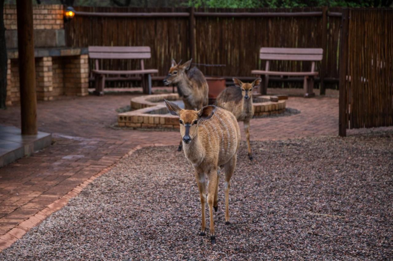 Sondela Nature Reserve & Spa Chalets Бела-Бела Екстер'єр фото